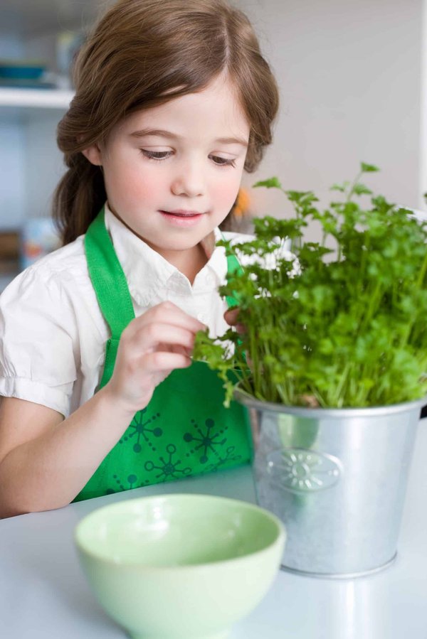 Comment sélectionner des pulls en cachemire pour un look hivernal à la fois chic et confortable ?